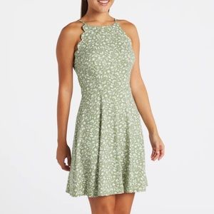 Scallop Detail Knit Dress